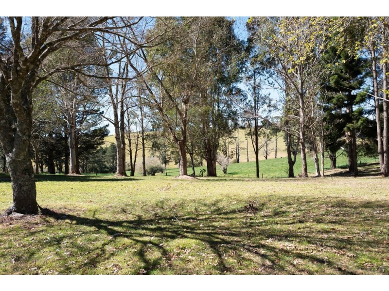 49 Kurrajong Street, Dorrigo NSW 2453