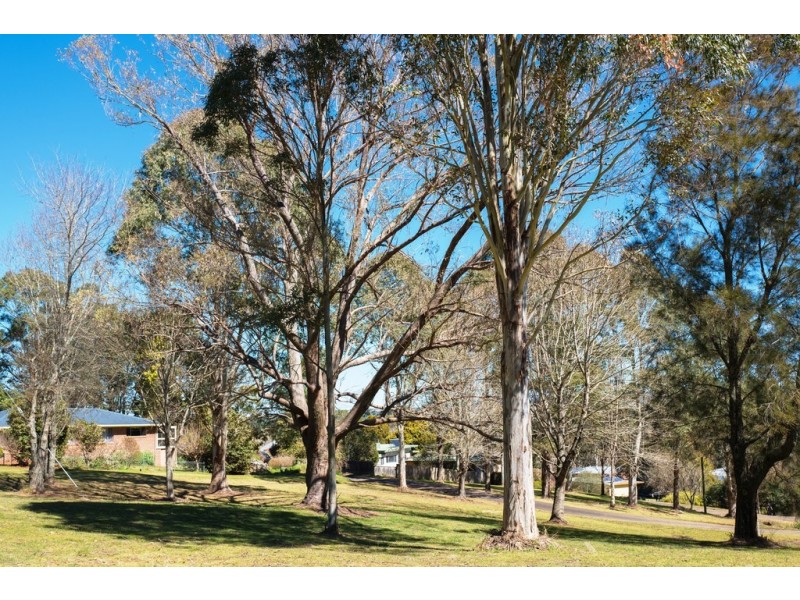 49 Kurrajong Street, Dorrigo NSW 2453