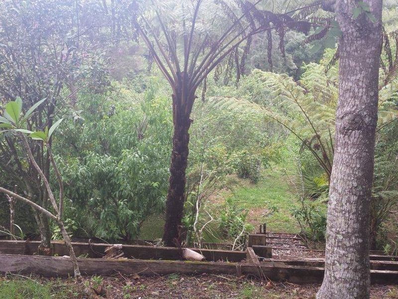 54 Dowle Street, Bellingen NSW 2454