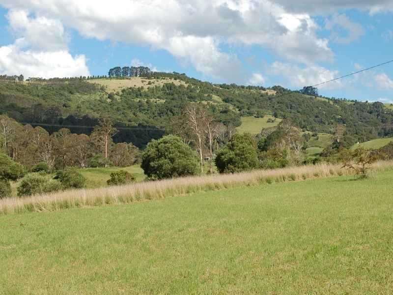 413 Johnsens Road, Fernbrook NSW 2453