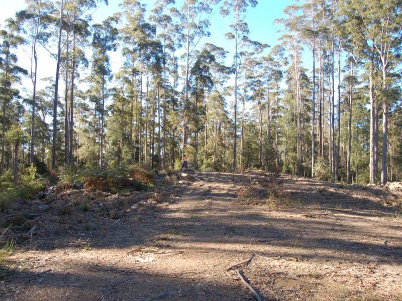 Lot 20 and Padmans Road, Elands NSW 2429