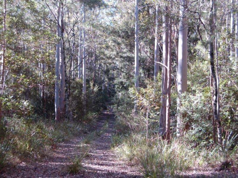 Lot 20 and Padmans Road, Elands NSW 2429