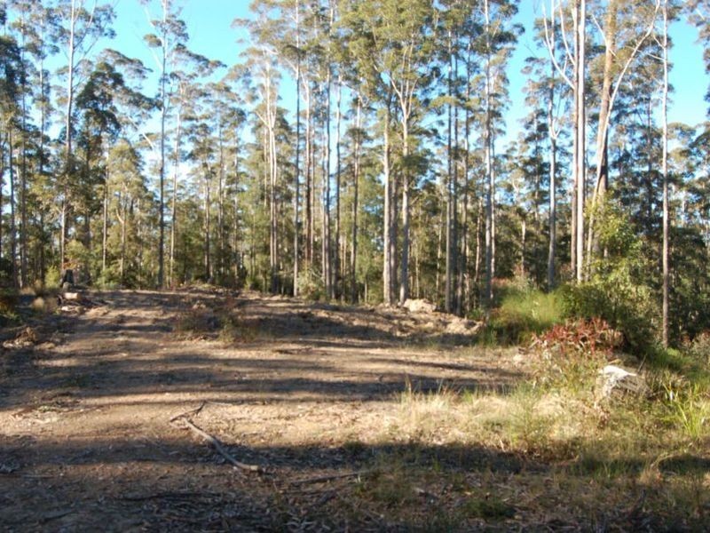 Lot 20 and Padmans Road, Elands NSW 2429
