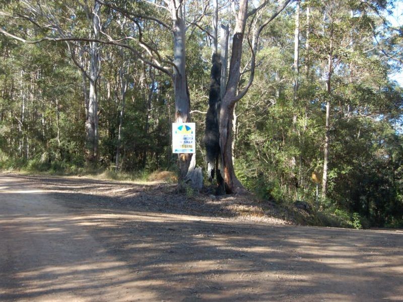 Lot 20 and Padmans Road, Elands NSW 2429