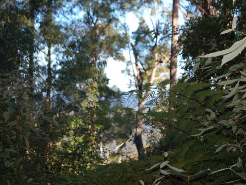 Lot 34 & 3 Upper Buckrabenndinni, Bowraville NSW 2449