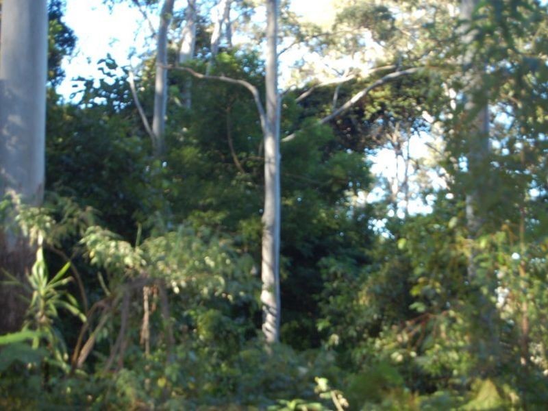 Lot 34 & 3 Upper Buckrabenndinni, Bowraville NSW 2449