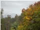 46 Lyons Street, Bellingen NSW 2454