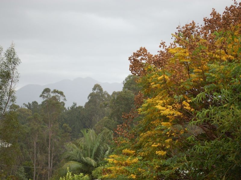 46 Lyons Street, Bellingen NSW 2454