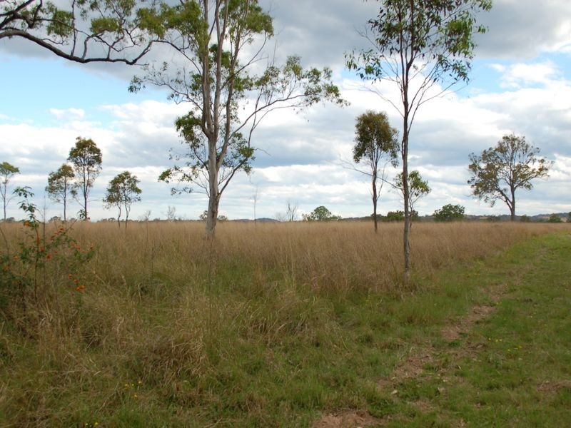 Lot 170 Kangaroo Creek Road, Coutts Crossing NSW 2460