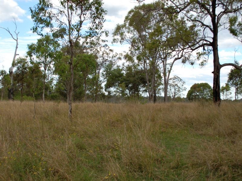 Lot 170 Kangaroo Creek Road, Coutts Crossing NSW 2460