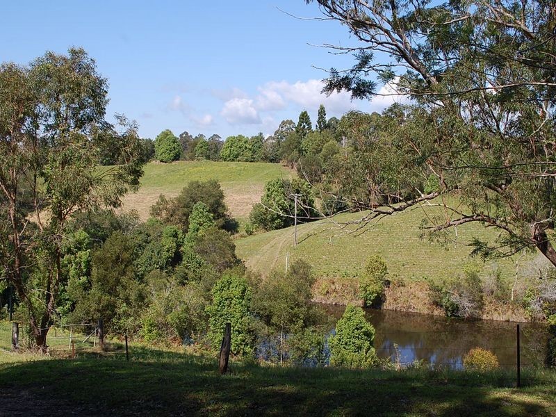 493 North Arm Road, Argents Hill NSW 2449