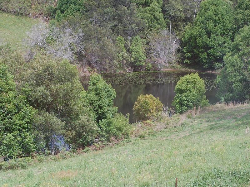 493 North Arm Road, Argents Hill NSW 2449