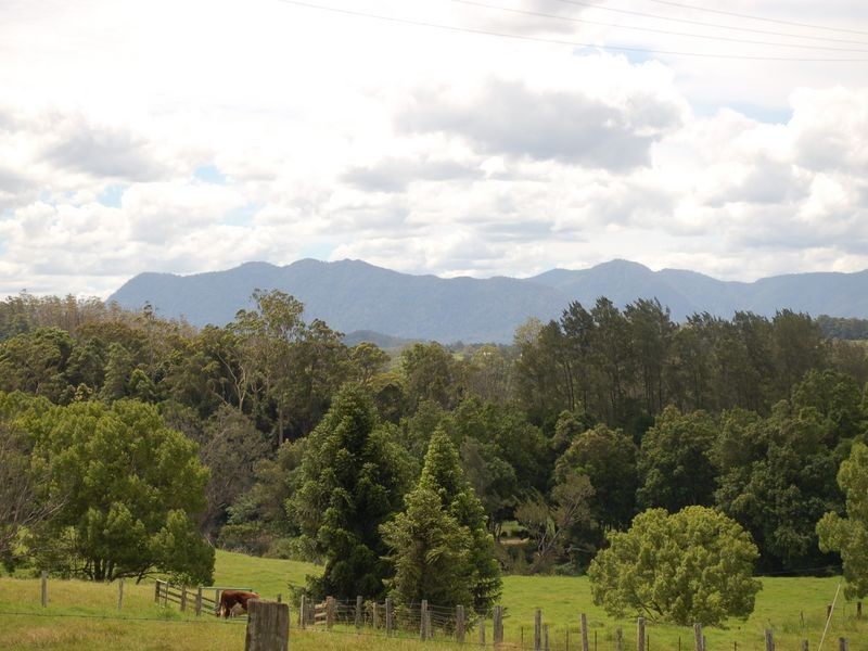 92 Hains Lane Brierfield, Bellingen NSW 2454