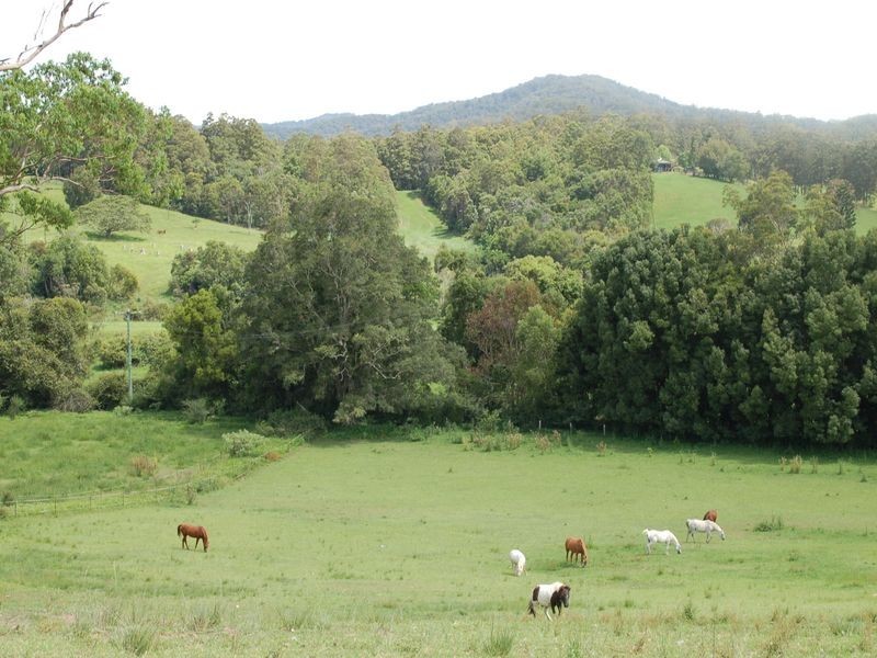 92 Hains Lane Brierfield, Bellingen NSW 2454