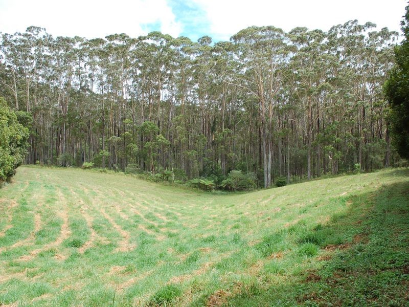 118 Schnapper Beach Road, Urunga NSW 2455