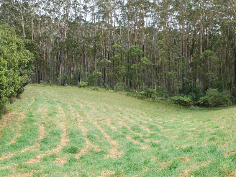 118 Schnapper Beach Road, Urunga NSW 2455