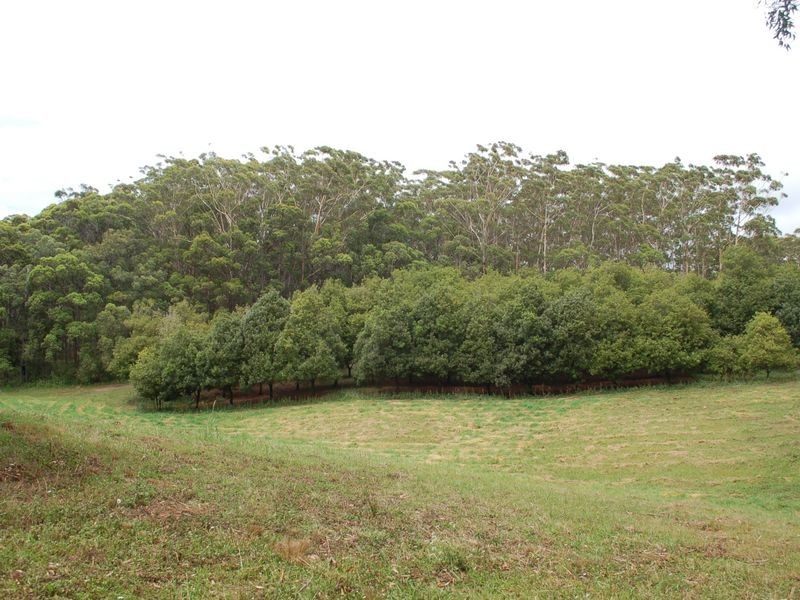 118 Schnapper Beach Road, Urunga NSW 2455