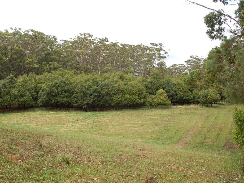 118 Schnapper Beach Road, Urunga NSW 2455