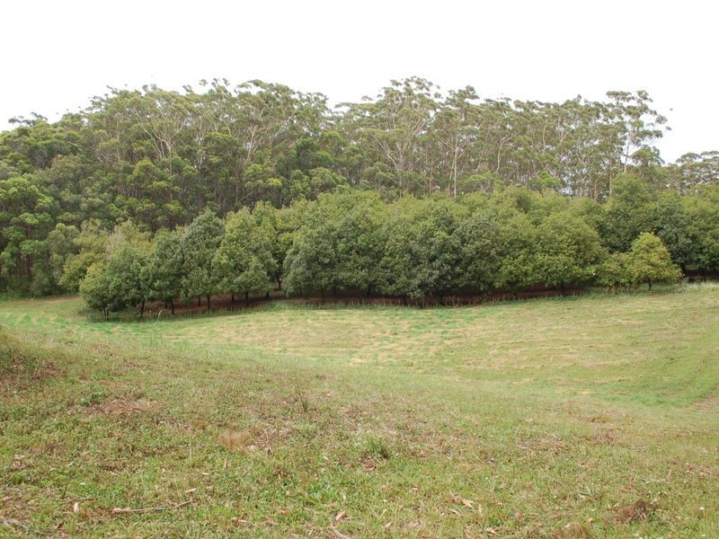 118 Schnapper Beach Road, Urunga NSW 2455