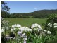 774 Kalang Road, Bellingen NSW 2454