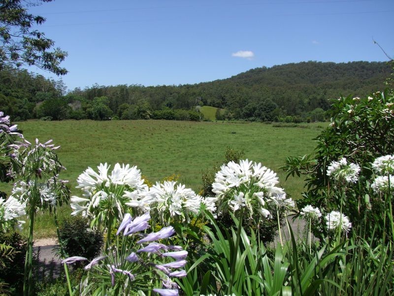 774 Kalang Road, Bellingen NSW 2454