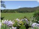 774 Kalang Road, Bellingen NSW 2454