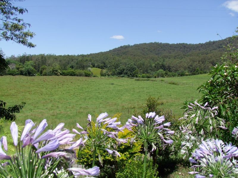 774 Kalang Road, Bellingen NSW 2454