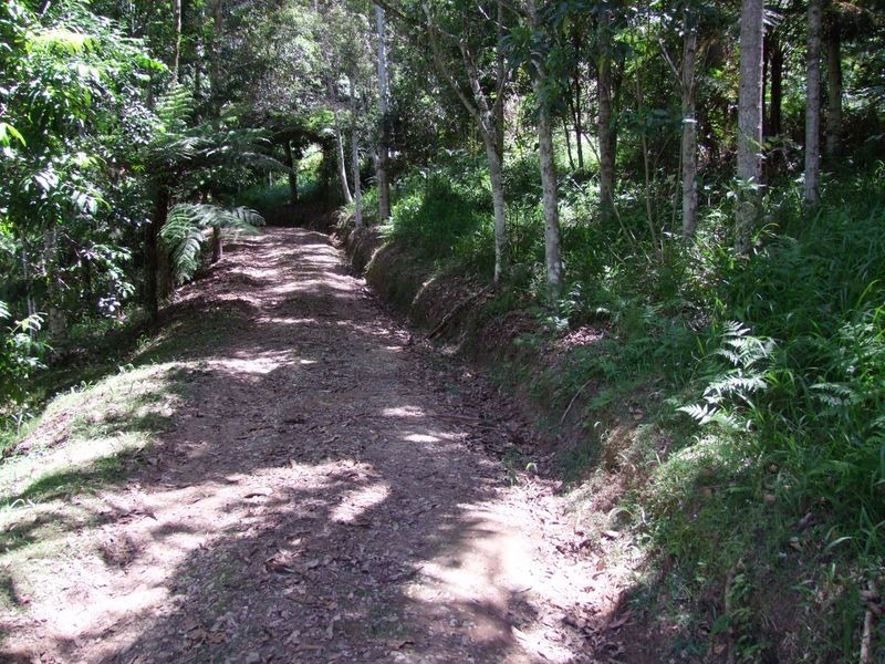 774 Kalang Road, Bellingen NSW 2454