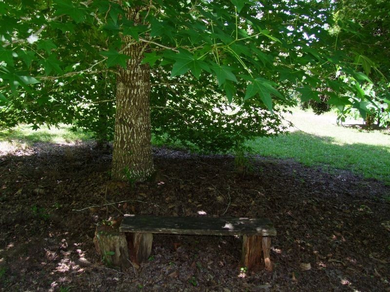 774 Kalang Road, Bellingen NSW 2454