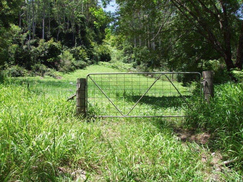 774 Kalang Road, Bellingen NSW 2454