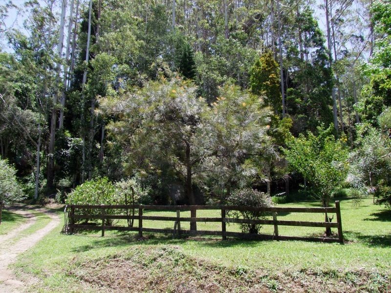 774 Kalang Road, Bellingen NSW 2454