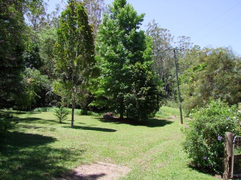 774 Kalang Road, Bellingen NSW 2454