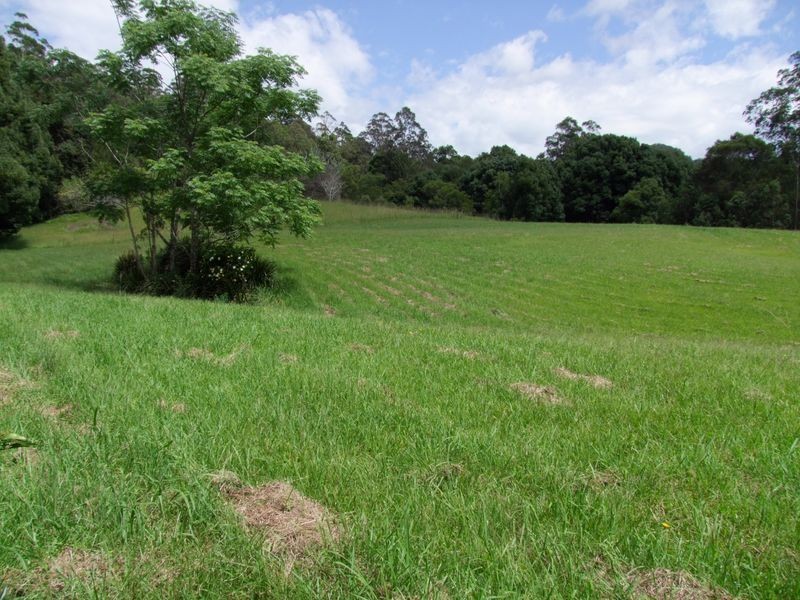 1540 Kalang Road, Bellingen NSW 2454