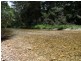 1540 Kalang Road, Bellingen NSW 2454