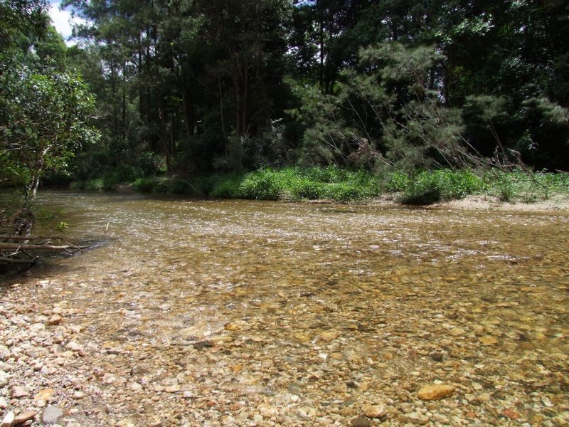 1540 Kalang Road, Bellingen NSW 2454