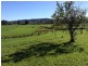 256 Waterfall way, Raleigh NSW 2454