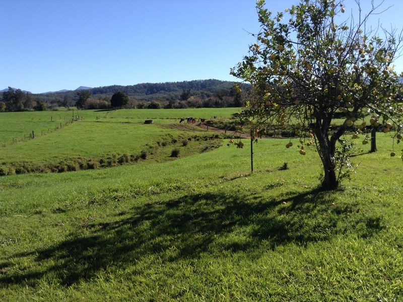 256 Waterfall way, Raleigh NSW 2454