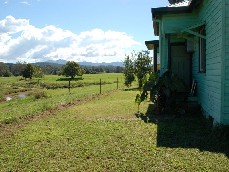 256 Waterfall way, Raleigh NSW 2454