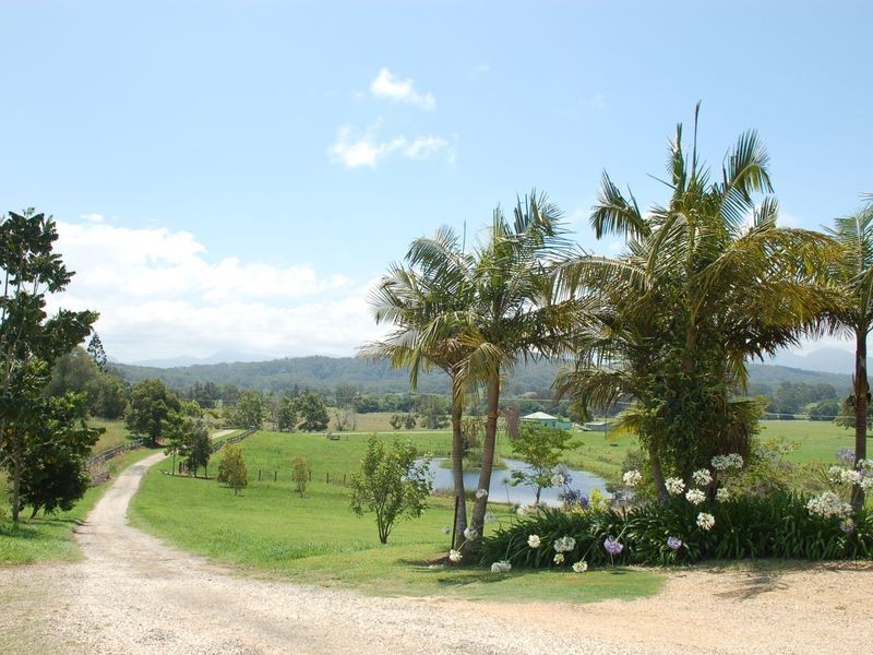 254 Waterfall Way, Raleigh NSW 2454