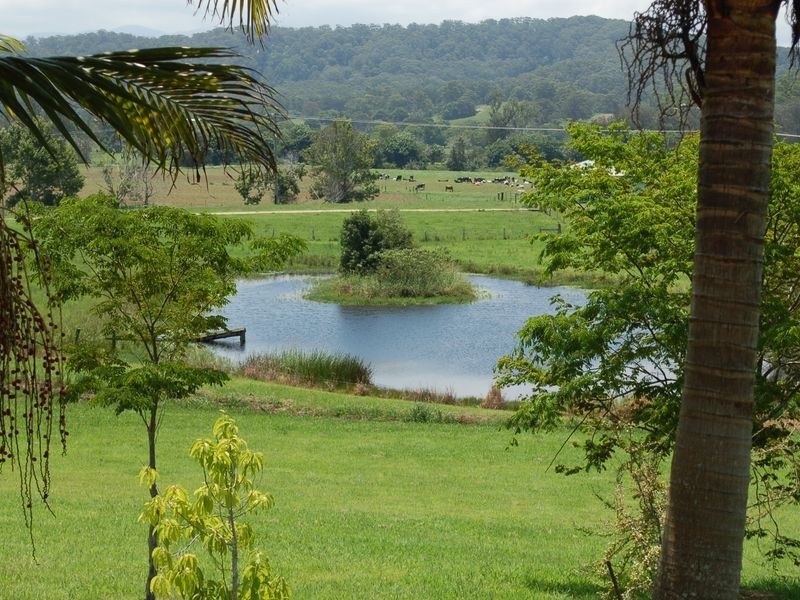 254 Waterfall Way, Raleigh NSW 2454