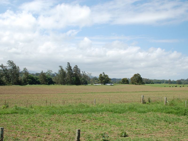 254 Waterfall Way, Raleigh NSW 2454