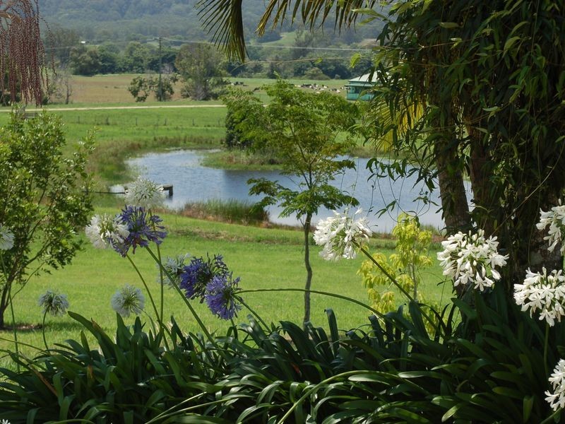 254 Waterfall Way, Raleigh NSW 2454