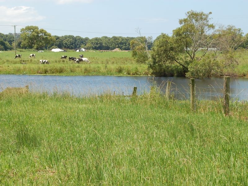 254 Waterfall Way, Raleigh NSW 2454