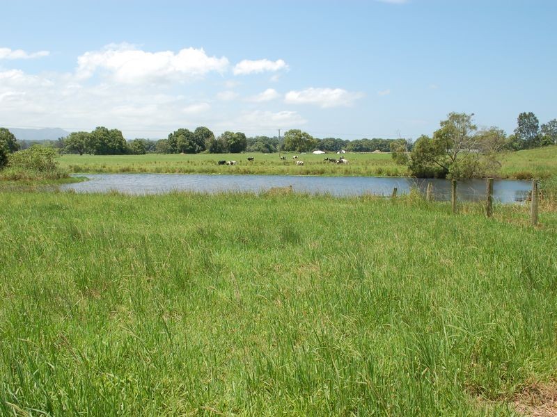 254 Waterfall Way, Raleigh NSW 2454