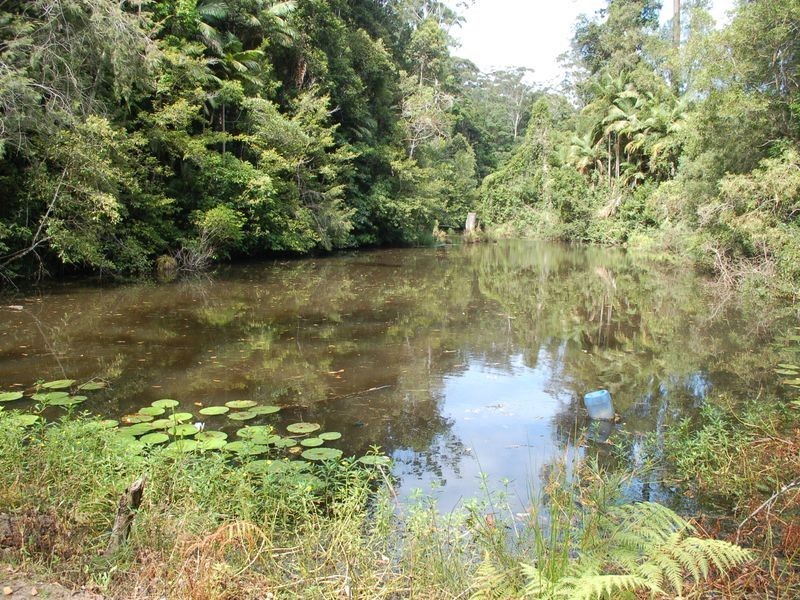 52 Broughmans Rd, Valla NSW 2448