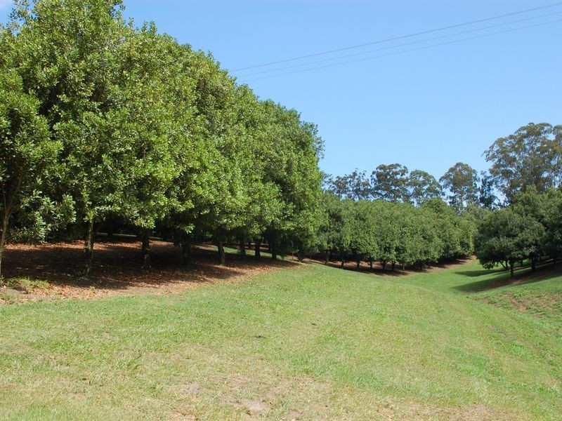 52 Broughmans Rd, Valla NSW 2448