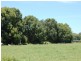 50 Old Pacific Highway, Raleigh NSW 2454