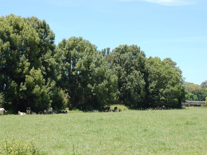50 Old Pacific Highway, Raleigh NSW 2454