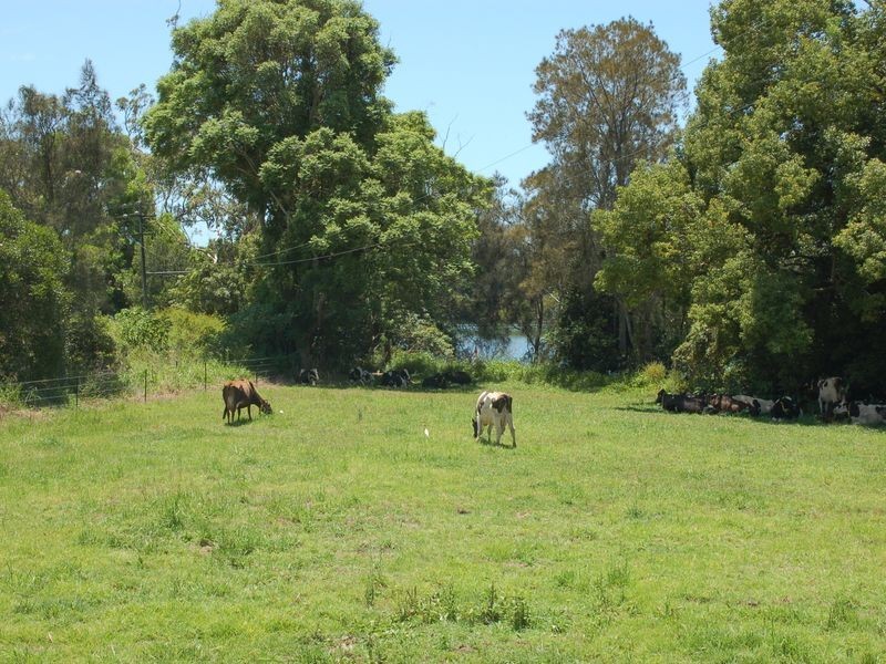 50 Old Pacific Highway, Raleigh NSW 2454