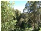 13 Perrys Road, Repton NSW 2454